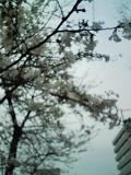 0703311.JPG