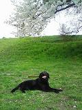 0704083.JPG