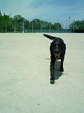 0705071.JPG
