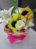 0707071.JPG