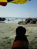 0708132.JPG