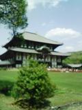 0804271.JPG
