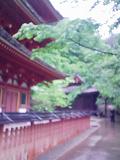 0805113.JPG