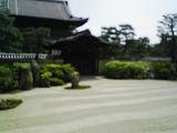 0805181.JPG