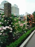 0805191.JPG