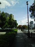 081119.JPG
