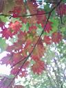 0909202.JPG